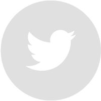 Twitter - Grey Circle